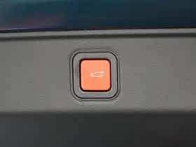 Fiat 600 (2026) thumbnail 21