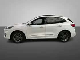 Ford Kuga (2020) thumbnail 2