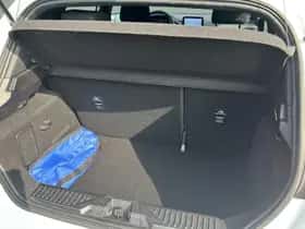 Ford Fiesta (2020) thumbnail 20