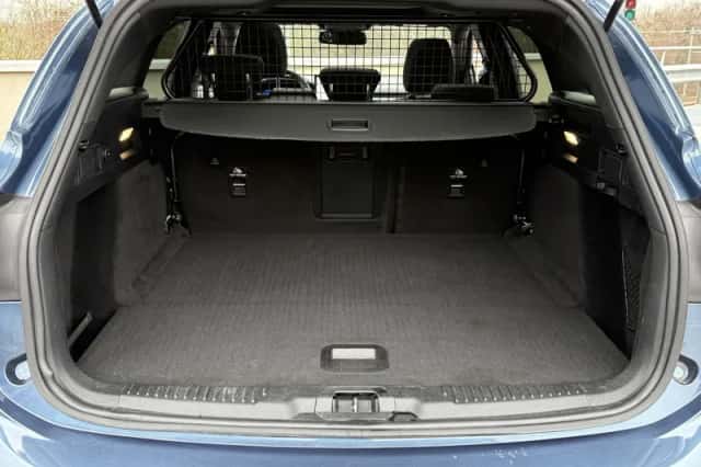 Ford Focus (2023) thumbnail 22