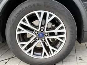Ford Kuga (2022) thumbnail 5
