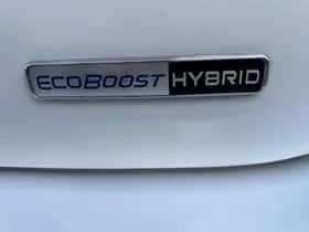 Ford Fiesta (2022) thumbnail 5