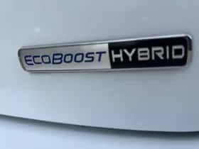 Ford Fiesta (2022) thumbnail 6