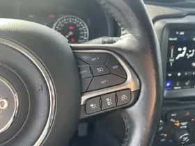 Jeep Renegade (2020) thumbnail 20