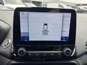 Ford EcoSport (2019) thumbnail 20