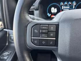 Ford F-150 (2024) thumbnail 14