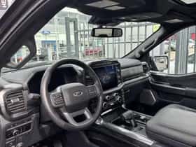 Ford F-150 (2024) thumbnail 11