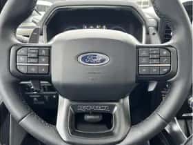 Ford F-150 (2024) thumbnail 19