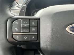 Ford F-150 (2024) thumbnail 20
