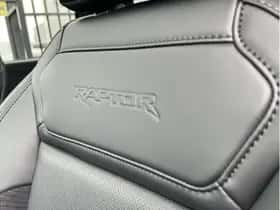 Ford F-150 (2024) thumbnail 29