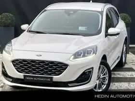 Ford Kuga (2022)