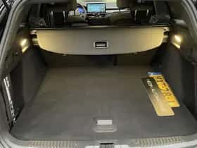 Ford Focus (2023) thumbnail 10