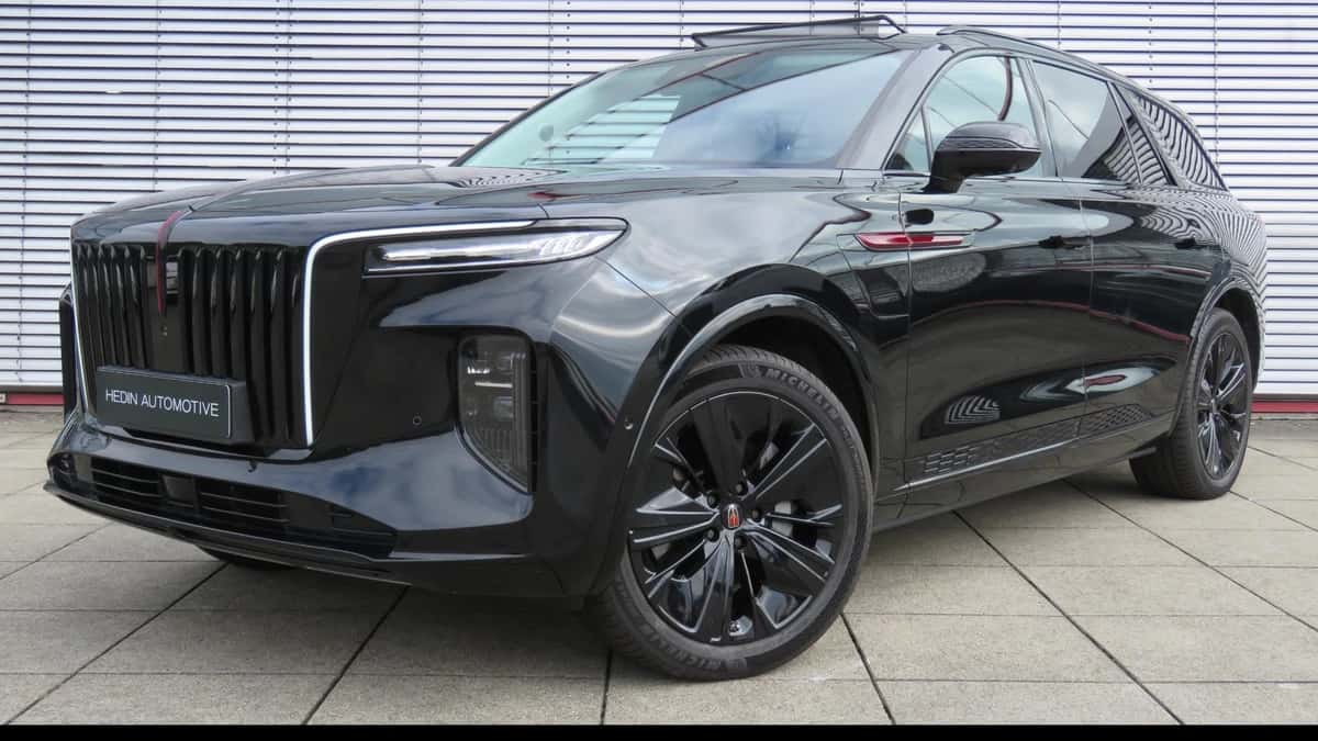 Hongqi E-HS9 (2024) — foto 1