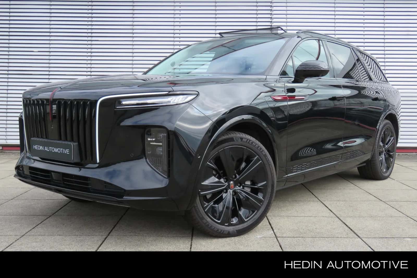 Hongqi E-HS9 (2024) — foto 1