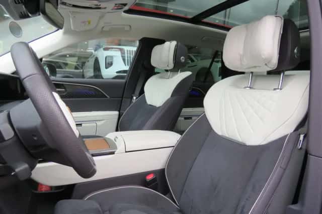 Hongqi E-HS9 (2024) thumbnail 6