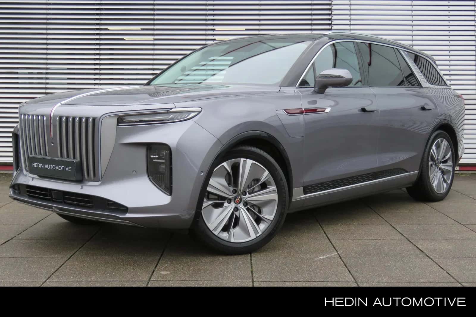 Hongqi E-HS9 (2023) — foto 1