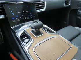 Hongqi E-HS9 (2023) thumbnail 21