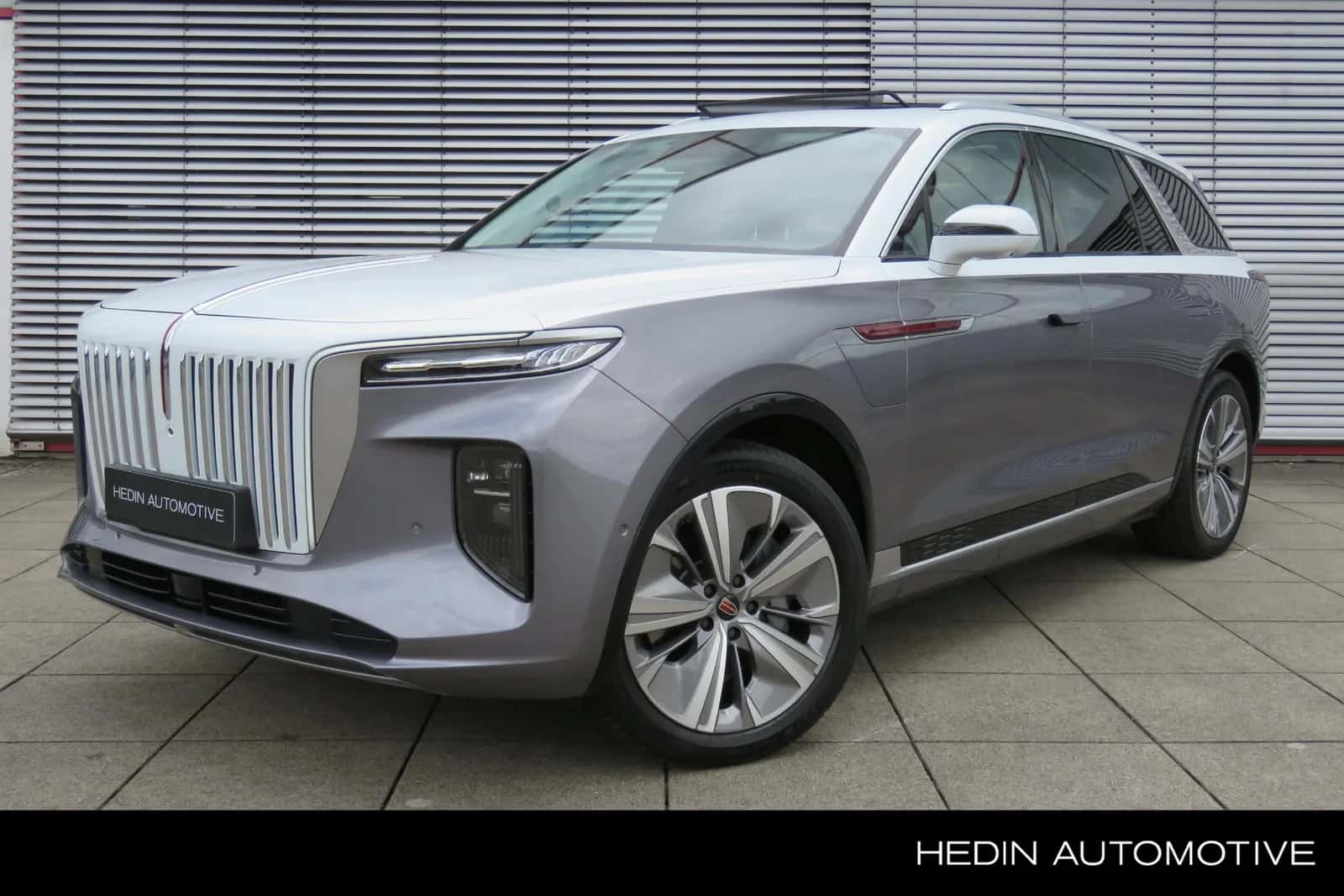 Hongqi E-HS9 (2023) — foto 1