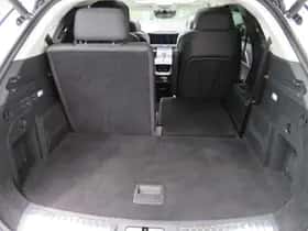 Hongqi E-HS9 (2023) thumbnail 27
