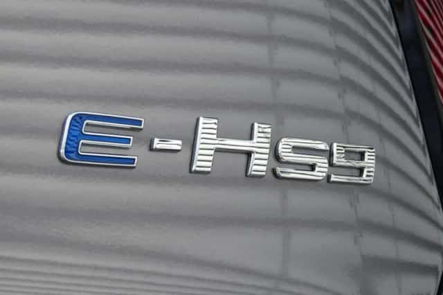 Hongqi E-HS9 (2023) thumbnail 34