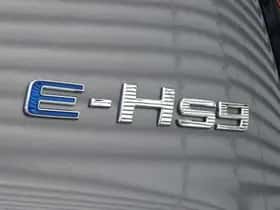 Hongqi E-HS9 (2023) thumbnail 34