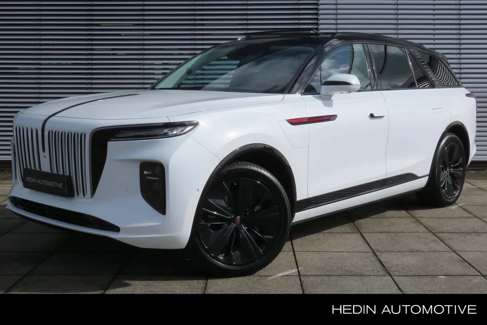 Hongqi E-HS9 (2025) — foto 1