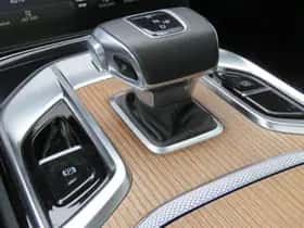 Hongqi E-HS9 (2023) thumbnail 17