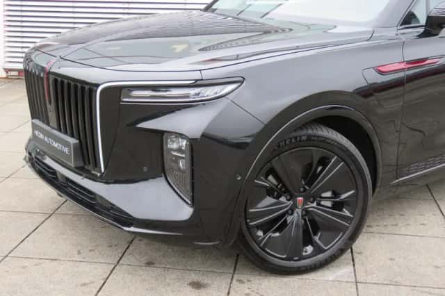 Hongqi E-HS9 (2023) thumbnail 19