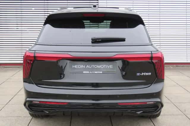 Hongqi E-HS9 (2023) thumbnail 7