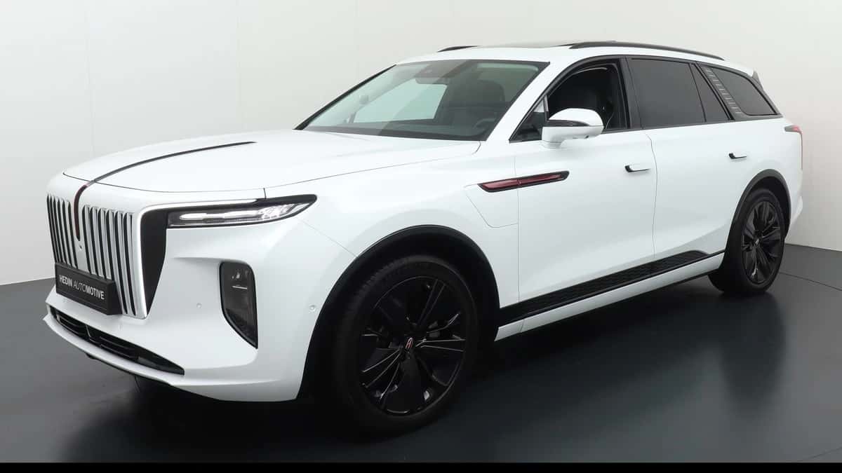 Hongqi E-HS9 (2023) — foto 1