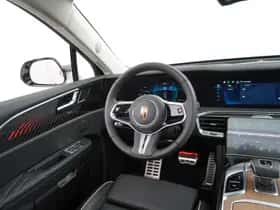 Hongqi E-HS9 (2023) thumbnail 21