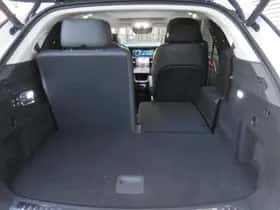 Hongqi E-HS9 (2023) thumbnail 30