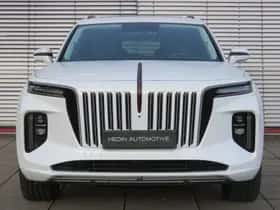 Hongqi E-HS9 (2023) thumbnail 35