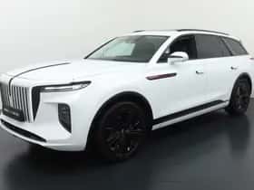 Hongqi E-HS9 (2023) thumbnail 42