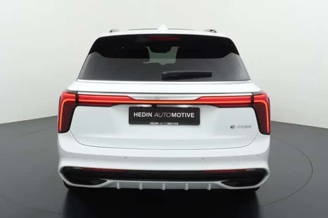 Hongqi E-HS9 (2023) thumbnail 7