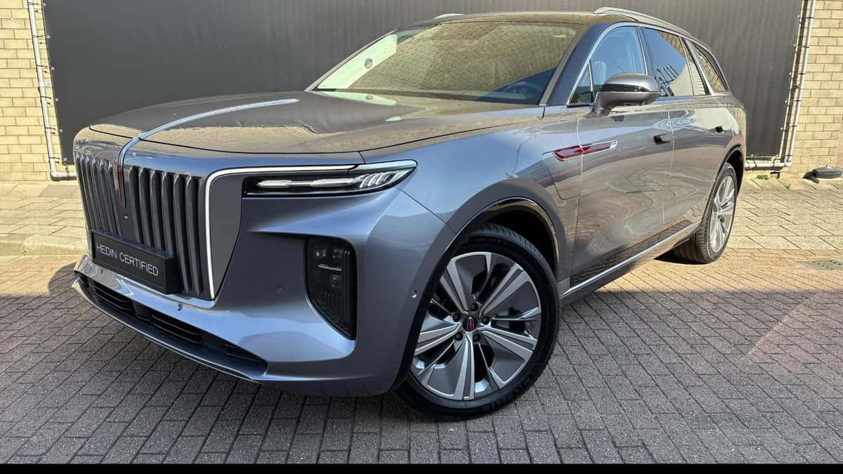 Hongqi E-HS9 (2023) — foto 1