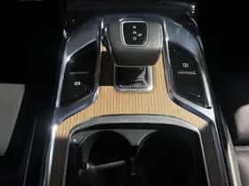 Hongqi E-HS9 (2024) thumbnail 15