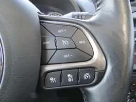 Jeep Renegade (2019) thumbnail 14