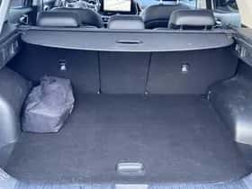Kia Sportage (2023) thumbnail 29