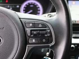 Kia Niro (2019) thumbnail 14