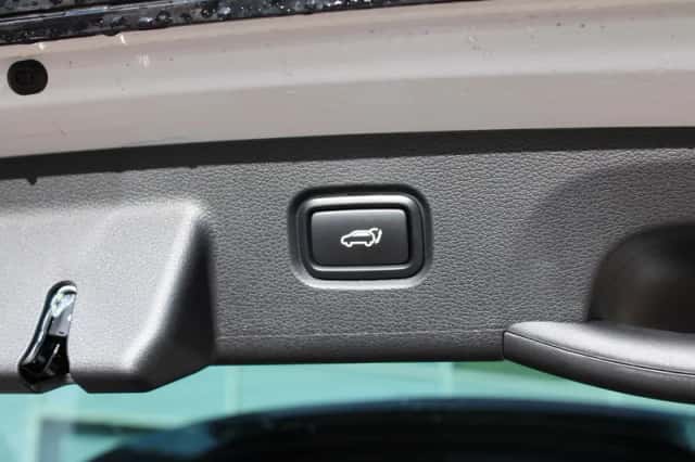 Kia Sportage (2025) thumbnail 14
