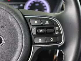 Kia Niro (2019) thumbnail 17