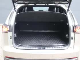 Lexus NX (2017) thumbnail 26