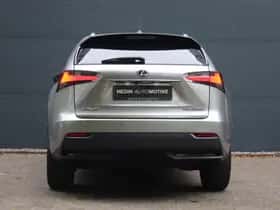 Lexus NX (2017) thumbnail 9