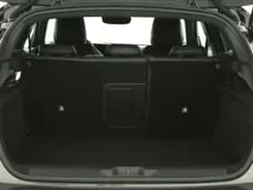 Opel Astra (2023) thumbnail 22