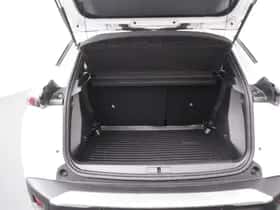 Peugeot 2008 (2021) thumbnail 20