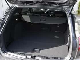 Ford Focus (2023) thumbnail 11