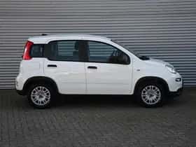 Fiat Panda (2024) thumbnail 3