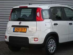 Fiat Panda (2024) thumbnail 5