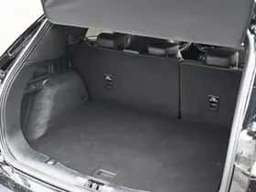 Ford Kuga (2024) thumbnail 14